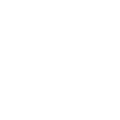 ikona