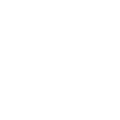 ikona