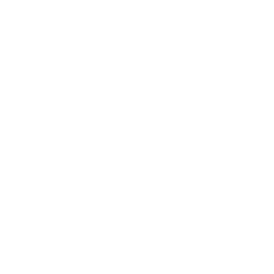 ikona